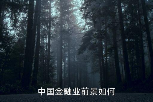 中國(guó)金融業(yè)前景如何