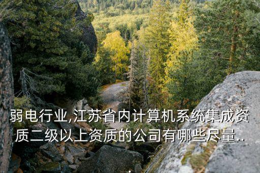 弱電行業(yè),江蘇省內計算機系統(tǒng)集成資質二級以上資質的公司有哪些盡量...
