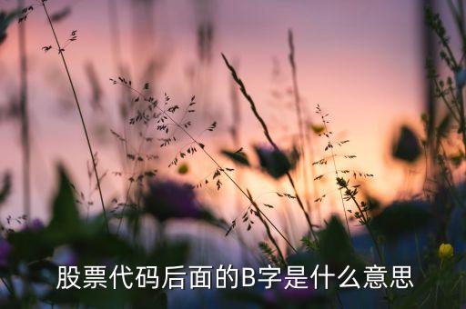 查詢股票證保b,股票歷史數據查詢