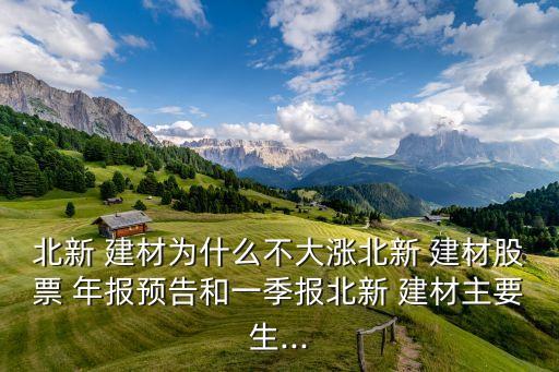 北新 建材為什么不大漲北新 建材股票 年報預告和一季報北新 建材主要生...
