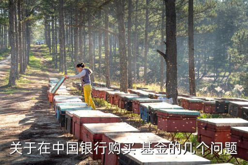 關(guān)于在中國(guó)銀行購(gòu)買(mǎi) 基金的幾個(gè)問(wèn)題