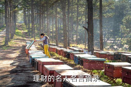 投資理財(cái)專(zhuān)家簡(jiǎn)介
