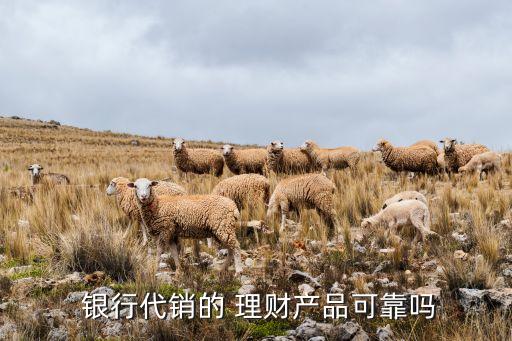  銀行代銷(xiāo)的 理財(cái)產(chǎn)品可靠嗎