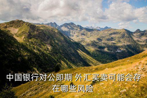 中國銀行對公即期 外匯買賣可能會存在哪些風(fēng)險(xiǎn)