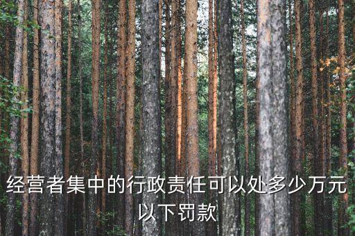 經營者集中的行政責任可以處多少萬元以下罰款