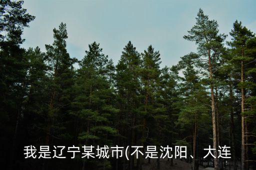 我是遼寧某城市(不是沈陽(yáng)、大連