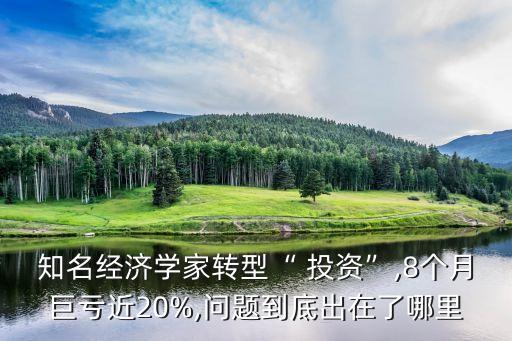 知名經(jīng)濟(jì)學(xué)家轉(zhuǎn)型“ 投資”,8個(gè)月巨虧近20%,問(wèn)題到底出在了哪里