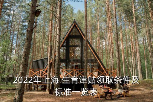 2022年上海 生育津貼領取條件及標準一覽表