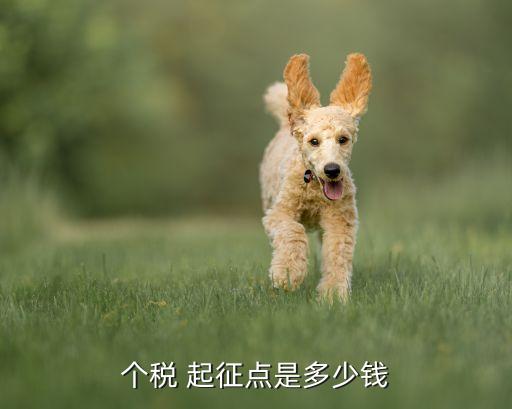 個稅 起征點(diǎn)是多少錢