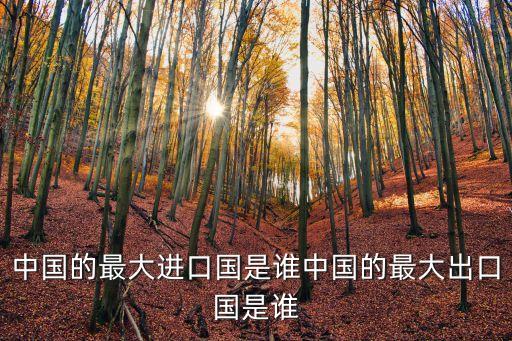 中國的最大進口國是誰中國的最大出口國是誰