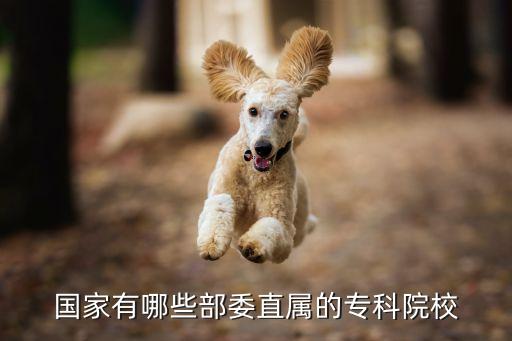 國(guó)家有哪些部委直屬的?？圃盒? class=