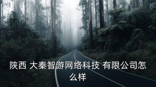陜西 大秦智游網絡科技 有限公司怎么樣