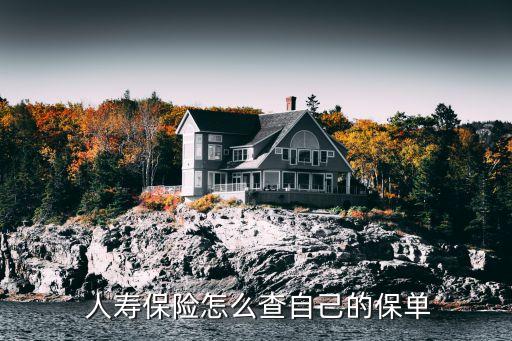  人壽保險(xiǎn)怎么查自己的保單