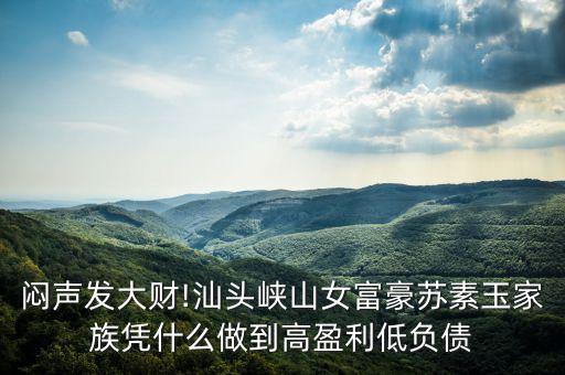 悶聲發(fā)大財!汕頭峽山女富豪蘇素玉家族憑什么做到高盈利低負(fù)債