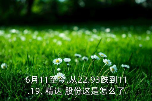 6月11至今,從22.93跌到11.19, 精達 股份這是怎么了