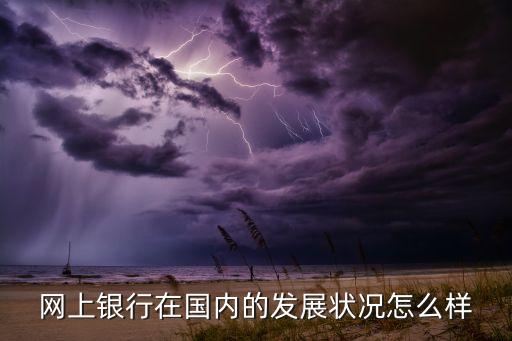 網上銀行在國內的發(fā)展狀況怎么樣