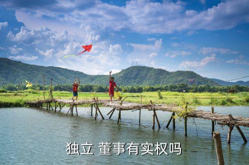 上市公司董事權利,如何成為上市公司董事