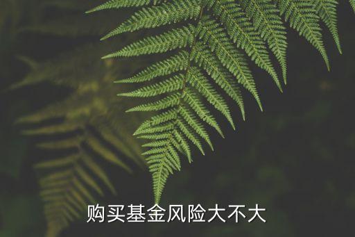 購買基金風(fēng)險大不大