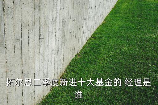 嘉實新收益混合000870基金經(jīng)理