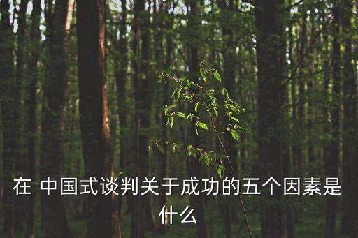 在 中國式談判關于成功的五個因素是什么