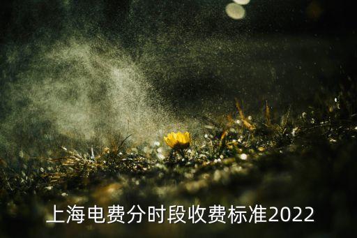  上海電費(fèi)分時段收費(fèi)標(biāo)準(zhǔn)2022