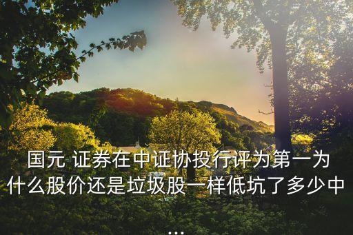  國元 證券在中證協(xié)投行評為第一為什么股價(jià)還是垃圾股一樣低坑了多少中...