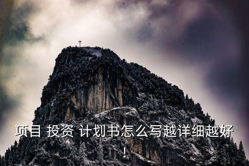 項(xiàng)目 投資 計(jì)劃書(shū)怎么寫(xiě)越詳細(xì)越好!