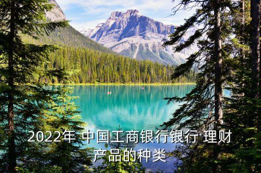 2022年 中國(guó)工商銀行銀行 理財(cái)產(chǎn)品的種類