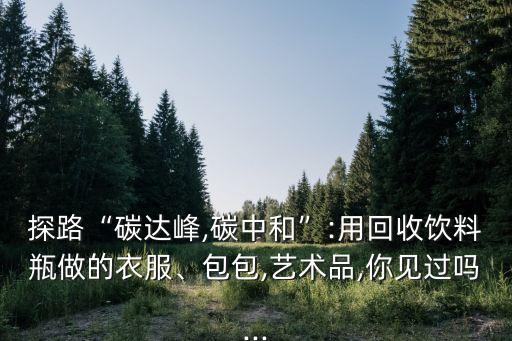 探路“碳達峰,碳中和”:用回收飲料瓶做的衣服、包包,藝術(shù)品,你見過嗎...