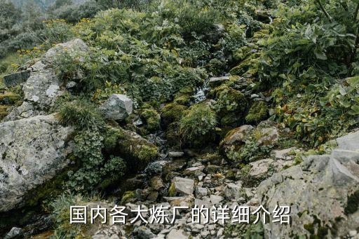 國內(nèi)各大煉廠的詳細介紹