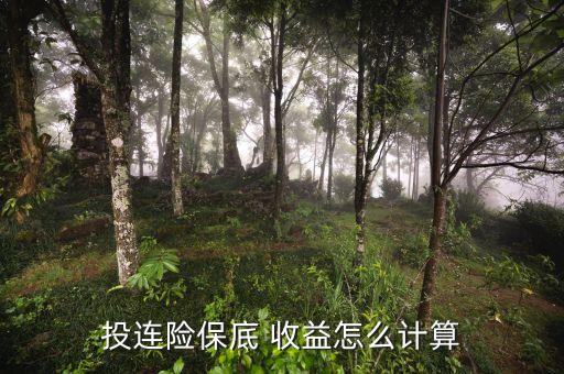 香港投資連結險15年的收益
