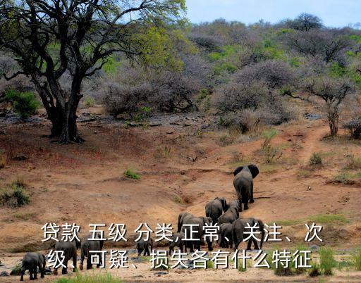  貸款 五級 分類,正常、關注、次級、可疑、損失各有什么特征