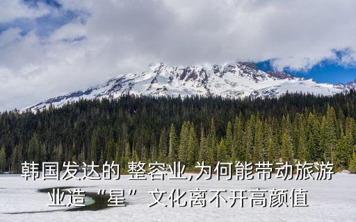 韓國發(fā)達(dá)的 整容業(yè),為何能帶動(dòng)旅游業(yè)造“星”文化離不開高顏值