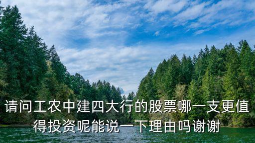 請(qǐng)問(wèn)工農(nóng)中建四大行的股票哪一支更值得投資呢能說(shuō)一下理由嗎謝謝