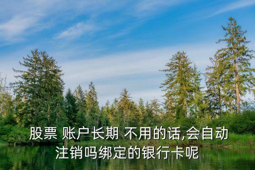  股票 賬戶(hù)長(zhǎng)期 不用的話,會(huì)自動(dòng)注銷(xiāo)嗎綁定的銀行卡呢