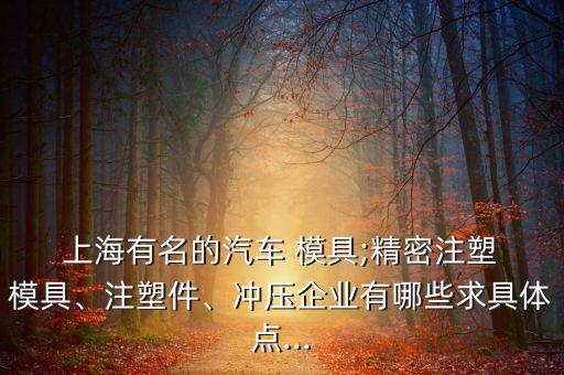  上海有名的汽車 模具;精密注塑 模具、注塑件、沖壓企業(yè)有哪些求具體點(diǎn)...