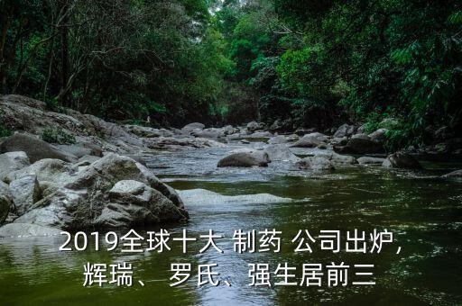 2019全球十大 制藥 公司出爐,輝瑞、 羅氏、強生居前三