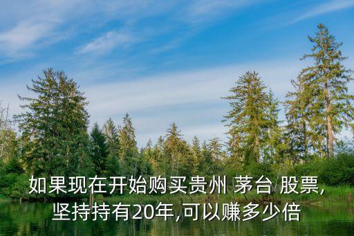 如果現(xiàn)在開始購買貴州 茅臺 股票,堅(jiān)持持有20年,可以賺多少倍