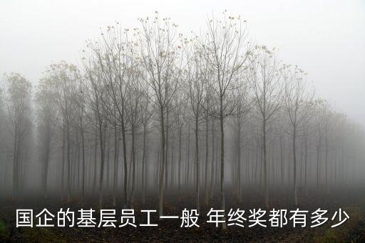 國企的基層員工一般 年終獎(jiǎng)都有多少