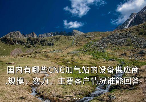 國(guó)內(nèi)有哪些CNG加氣站的設(shè)備供應(yīng)商,規(guī)模、實(shí)力、主要客戶情況誰能回答一...
