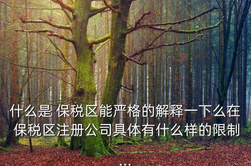 什么是 保稅區(qū)能嚴格的解釋一下么在 保稅區(qū)注冊公司具體有什么樣的限制...