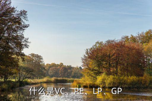 什么是VC、PE、LP、GP