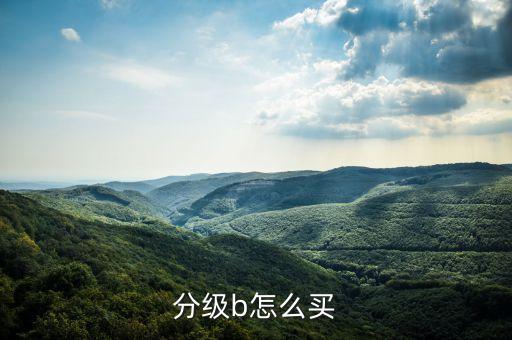 如何購(gòu)買(mǎi)b基金的母基金,購(gòu)買(mǎi)A類基金還是C類基金