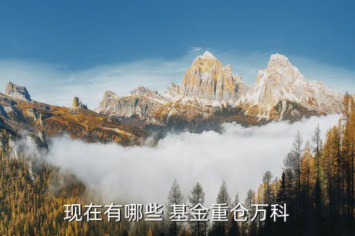 基金凈值查詢(xún)161604