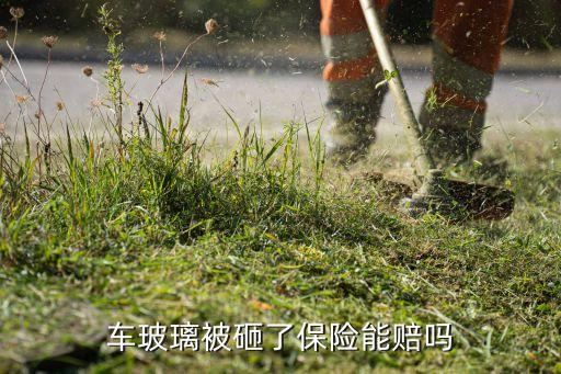 車(chē)玻璃被砸了保險(xiǎn)能賠嗎