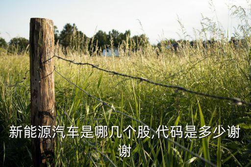 新能源汽車是哪幾個股,代碼是多少謝謝