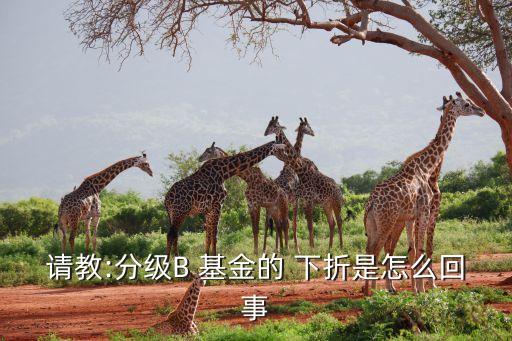 請(qǐng)教:分級(jí)B 基金的 下折是怎么回事