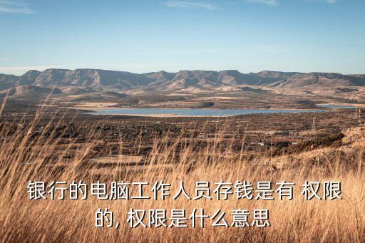  銀行的電腦工作人員存錢是有 權限的, 權限是什么意思