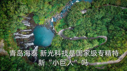  青島海泰 新光科技是國家級(jí)專精特新“小巨人”嗎