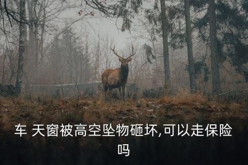 車(chē) 天窗被高空墜物砸壞,可以走保險(xiǎn)嗎
